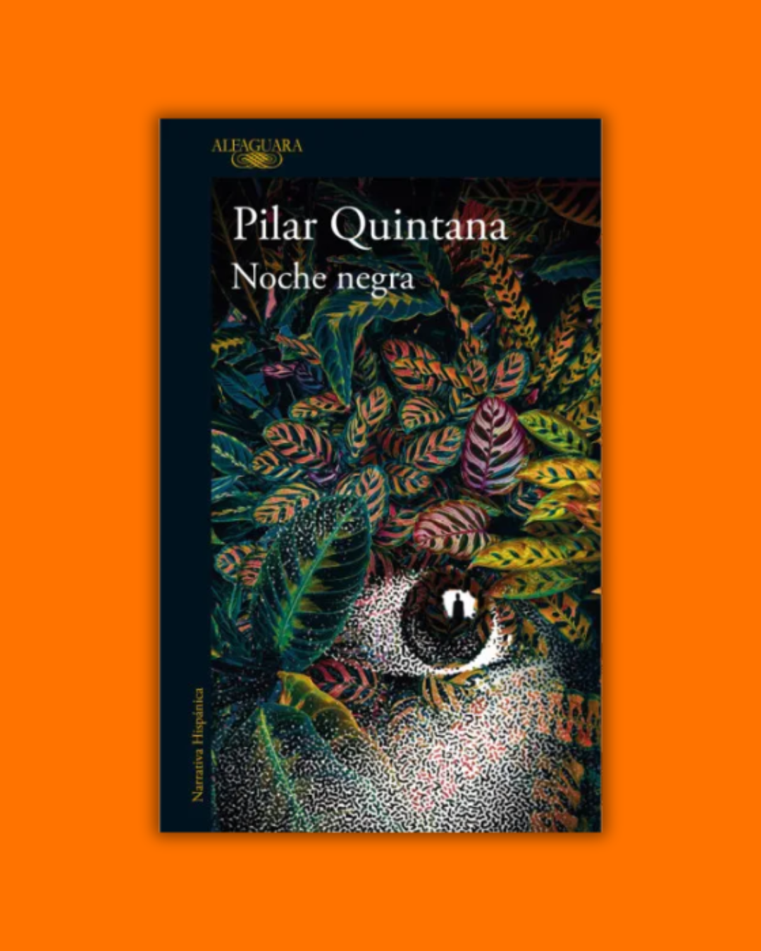 Noche negra - Pilar Quintana