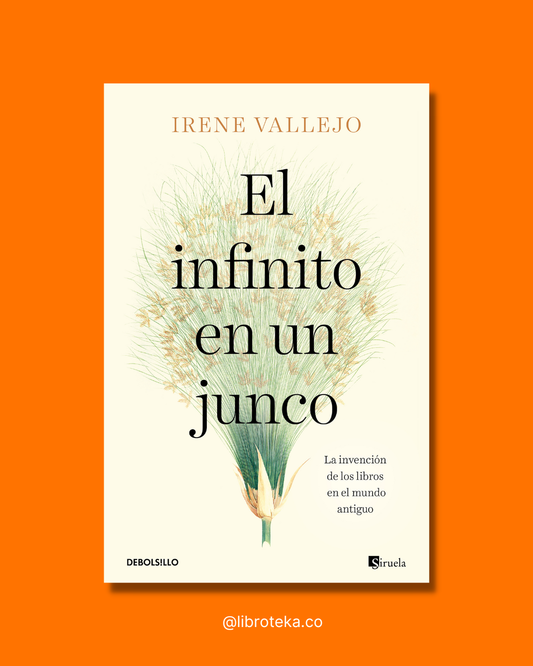El infinito en un junco - Irene Vallejo